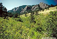 The Flatirons of Boulder